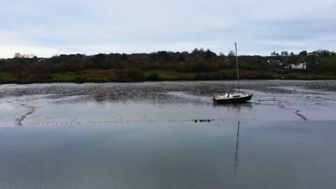 Flying Over the Low Tide River dispersing seagulls in the direction of a stuck Stock Footage 232298786