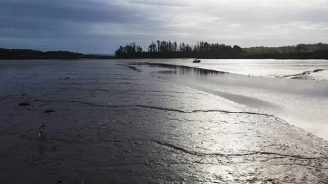 Flying Over the Low Tide River dispersing seagulls in the direction of a stuck Video stock 232298873