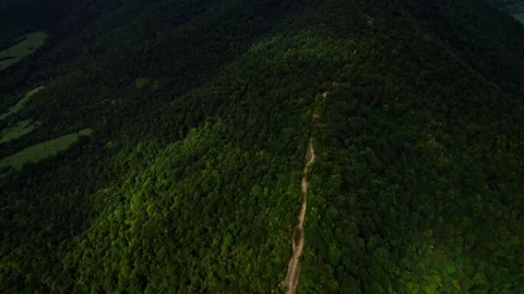 Flying over a lush forest in Georgia during daytime on a cloudy day Stock Footage 252735239