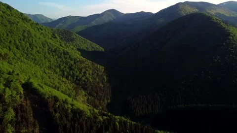 Flying over lush green spring forests in the Carpathian Mountains. Drone footage Stock Footage 293708540