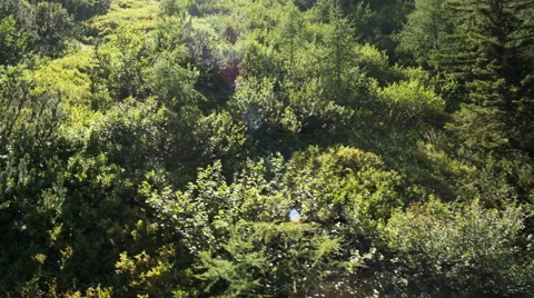 Flying over lush landscape Stock Footage 56922780