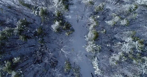 Flying over magical snow covered landscape at sunrise in New England Stock Footage 90360741