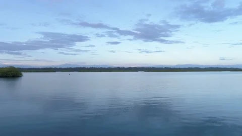 Flying Over the Mangrove Waters of Bocas Del Toro Stock Footage 100571630