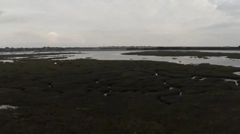 Flying over Marsh and Estuary Stock Footage 44400169