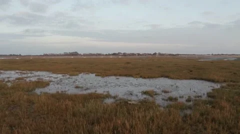 Flying over Marsh 動画素材 44400136