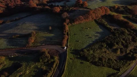 Flying over a meadow and cows during sunrise. Asturias. Spain Video stock 152770323
