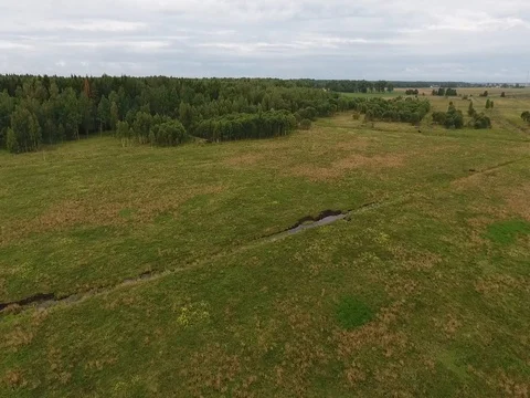 Flying over the meadow Stock Footage 70347261