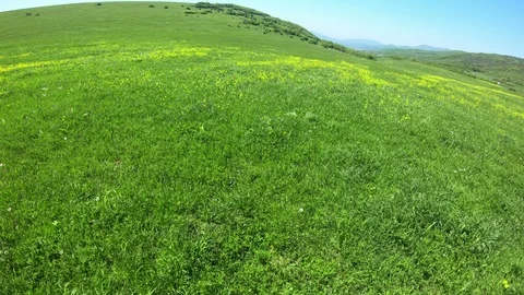 Flying Over the Meadow Stock Footage 96209859