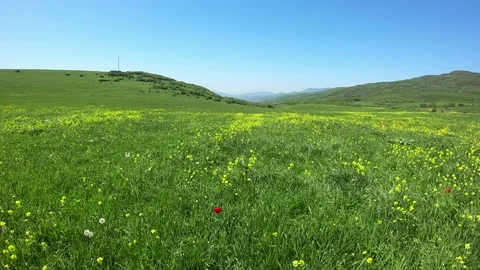 Flying Over the Meadow Stock Footage 96213323