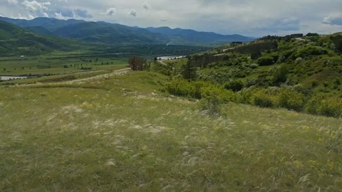 Flying over a meadow in the mountains, grass fluttering in the wind, aerial view Stock Footage 276842682