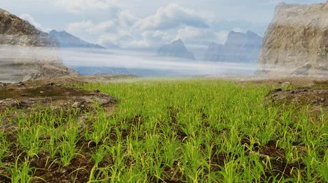 Flying Over The Meadow Stock Photos