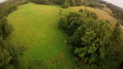 Flying over meadow surrounded by forest Video stock 71803704