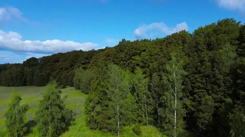 Flying over meadow towards and over forest Stock Footage 277016705
