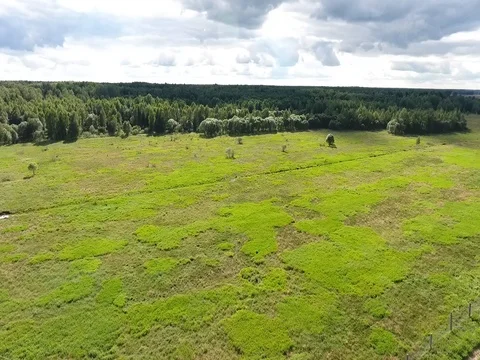 Flying over the meadows along the forest on a sunny day Stock Footage 70346749