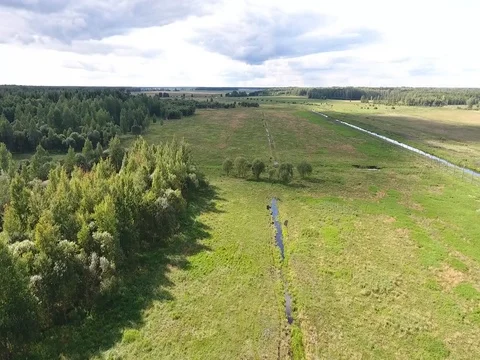 Flying over the meadows along the forest on a sunny day  Stock Footage 70346926