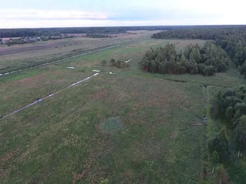 Flying over the meadows Stock Footage 70347064