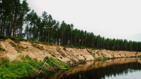 Flying over the mirror of the water surface of a forest stream. Lush, Silent Stock Footage 257775390