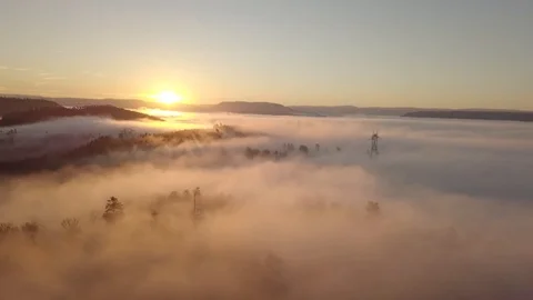 Flying over the mist on a colored sunset over trees 1080 ungraded Stock Footage 105953342