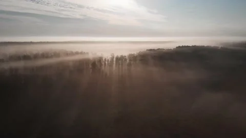 Flying over misty forest during sunrise. The mist rising over the treetops Stock Footage 196591084