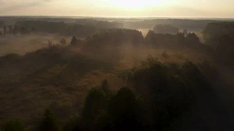 Flying over misty forest during sunrise. The mist rising over the treetops Stock Footage 196594058