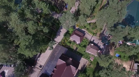 Flying Over Misty Forest Stock Footage 67441805