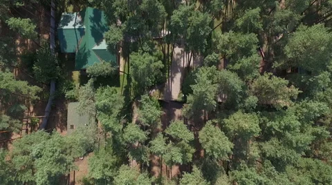 Flying Over Misty Forest Stock Footage 67442129