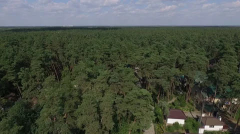 Flying Over Misty Forest Stock Footage 67443020