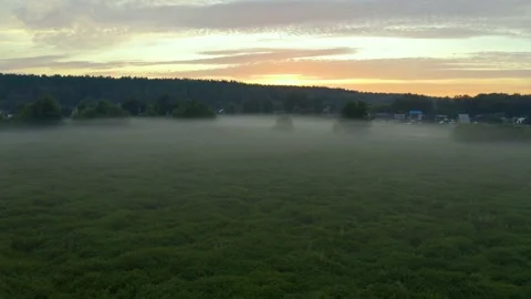 Flying over a misty meadow with trees at dawn. the rays of the rising sun 스톡 동영상 134960870