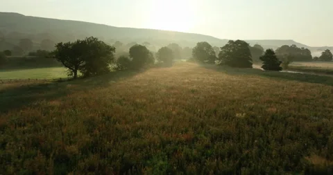 Flying over misty meadows at sunrise Stock Footage 343812581