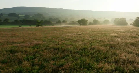 Flying over misty meadows at sunrise 库存影片 343845462