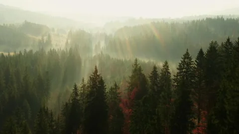 Flying over misty mountain forests with sun flare Stock Footage 131872953