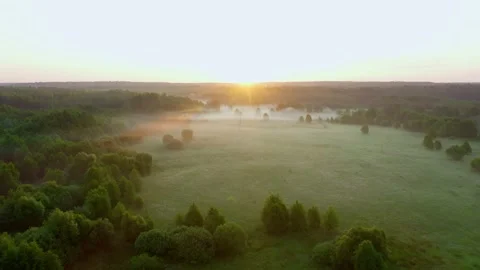 Flying over misty pine forest during sunrise Stock Footage 159905296