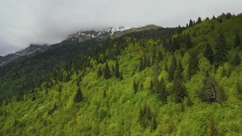 Flying over a mixed forest towards a mountain peak with snow, aerial view Stock Footage 276966703