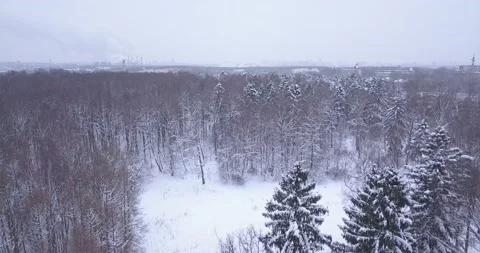 Flying over mixed forest in winter Vídeo Stock 143596199
