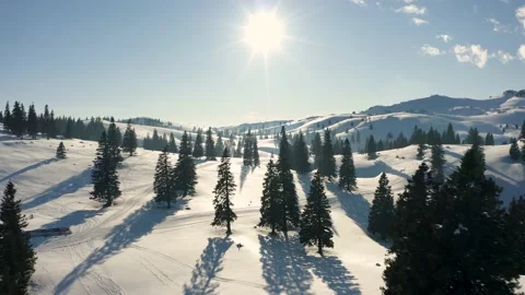 Flying Over Mountain Covered in Snow With Spruce Trees, Sleigh and ski Traces. Stock Footage 168139532