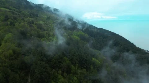 Flying over a mountain forest with clouds on the background of the sea Stock Footage 255803621