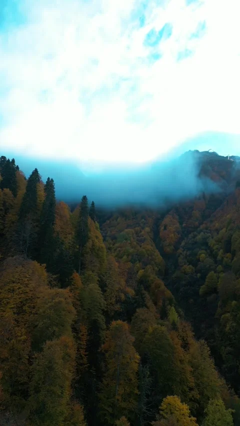 Flying over a mountain forest with clouds Stock Footage 255895122
