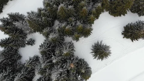 Flying over mountain forest, winter landscape Stock Footage 105535641