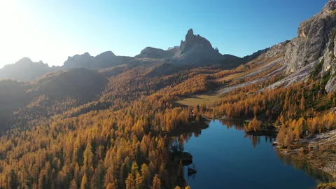 Flying over mountain lake with many larch trees in autumn, 4k aerial Stock Footage 220447271