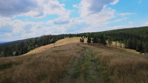 Flying over mountain meadow in Beskidy, Hala Radziechowska, Poland Stock Footage 138024334