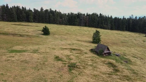 Flying over mountain meadow. Stock Footage 137798615