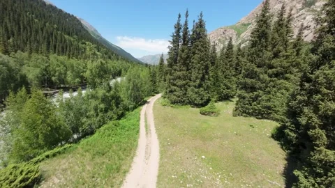 Flying over a mountain path near a river in a coniferous forest Video stock 312539908
