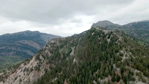 Flying over a mountain peak and a pine forest 4k Stock Footage 213619026