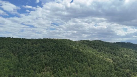 Flying over the mountain peak covered by pine tree forest. Stock Footage 286050237