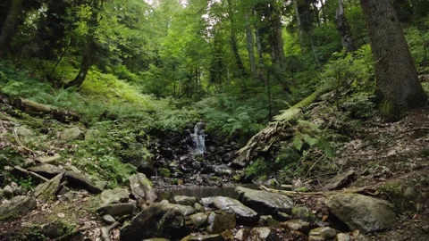 Flying over mountain stream runs down slope through roots, fallen trees, stones Stock Footage 208888515