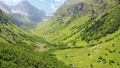 Flying over a mountain valley overgrown with green forest among the mountains in Stock Footage 263252811
