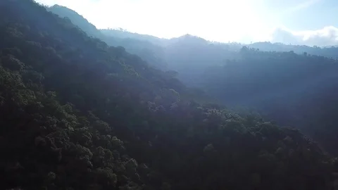 Flying over a mountainous forest Stock Footage 83951842