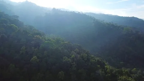 Flying over a mountainous forest Stock Footage 83953401