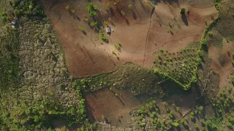 Flying over mountains and denuded forest area Stock Footage