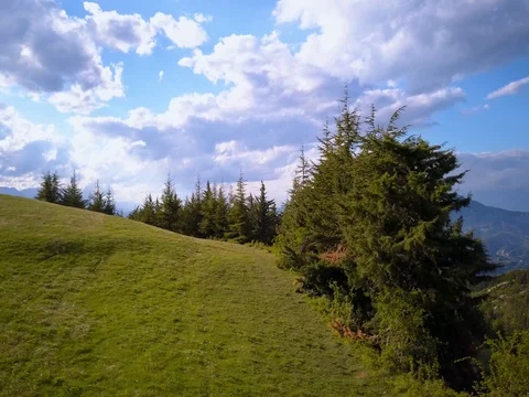 Flying over mountains and forest Stock Footage 75314558